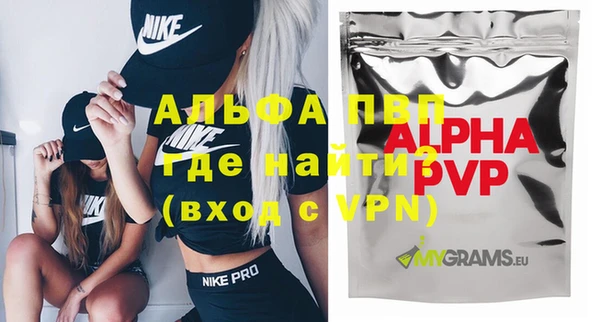спиды Богданович