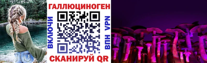 Галлюциногенные грибы Magic Shrooms  Купить  Цоци-Юрт 