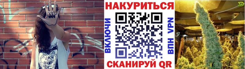 Каннабис ГИДРОПОН  Купить где  Цоци-Юрт 